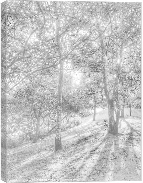 Trees and shadows Canvas Print by HELEN PARKER