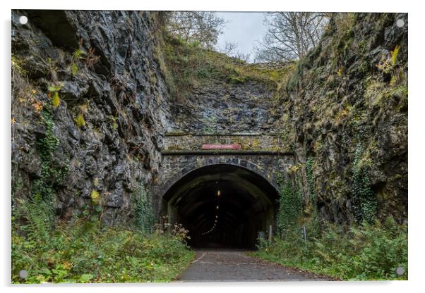 Litton Tunnel entrance Acrylic by Jason Wells