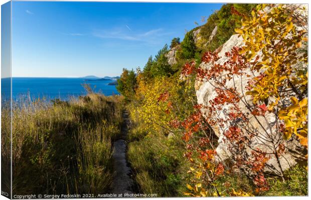 Ecological stone trail along the rocky coast of Mediterranean sea. Croatia Canvas Print by Sergey Fedoskin
