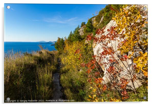 Ecological stone trail along the rocky coast of Mediterranean sea. Croatia Acrylic by Sergey Fedoskin