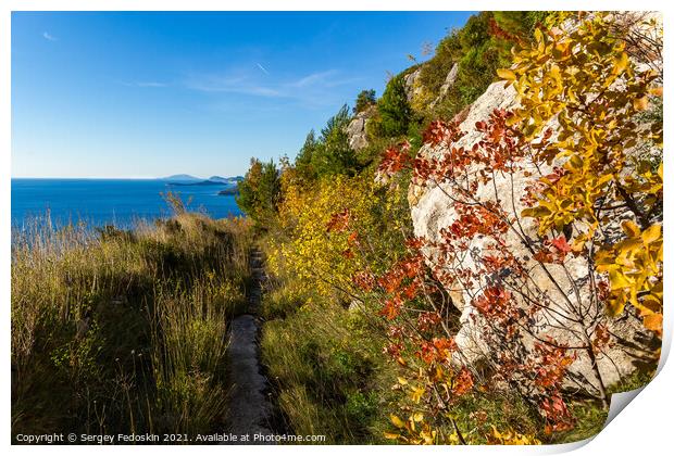 Ecological stone trail along the rocky coast of Mediterranean sea. Croatia Print by Sergey Fedoskin
