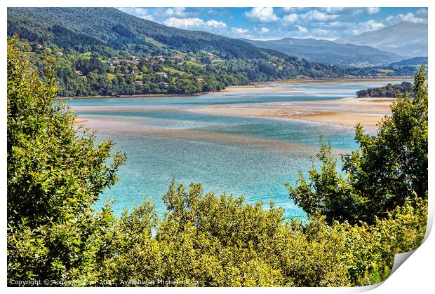 Turquoise Estuary Oasis Print by Roger Mechan