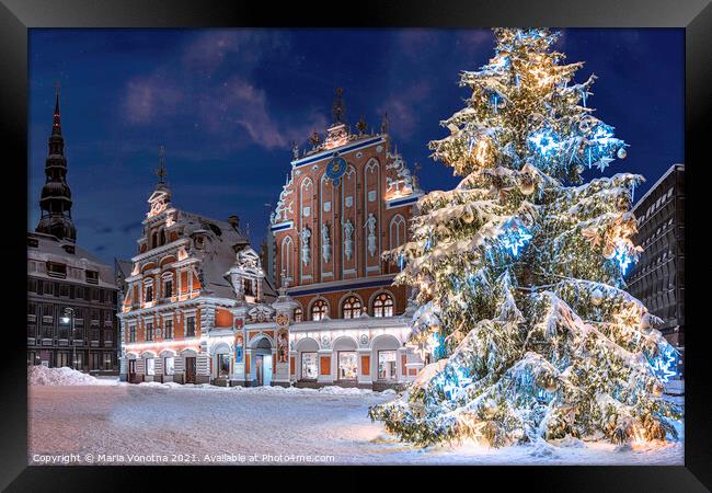Illuminated Christmas tree at night in Riga Framed Print by Maria Vonotna