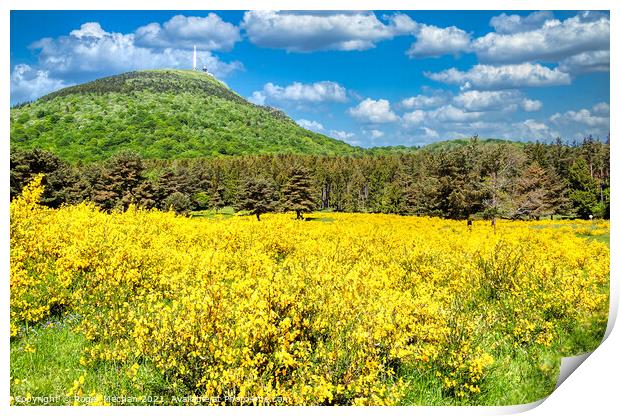 Gorse and Fir Climb to TV Mast Print by Roger Mechan