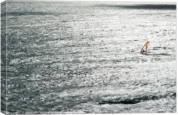 Lone Wind Surfer Canvas Print by Roy Curtis