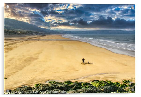 Serene beach fun Acrylic by Roger Mechan