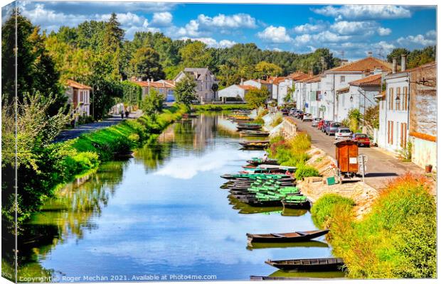Serene Coulon Canal Scene Canvas Print by Roger Mechan
