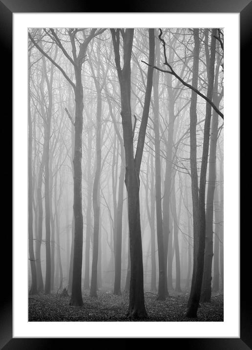 Tree Architecture Framed Mounted Print by Simon Johnson