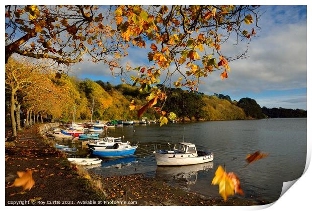 Leaves of Brown Tumbling Down Print by Roy Curtis