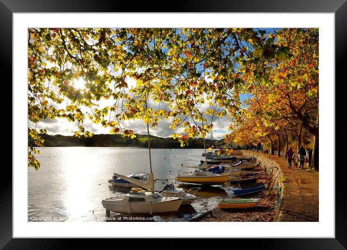 Autumn Sunset Framed Mounted Print by Roy Curtis