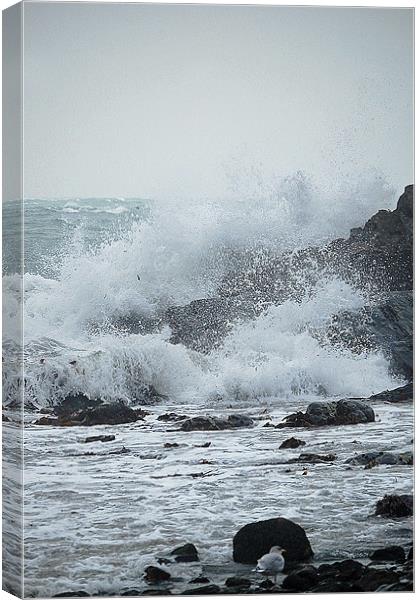 stormy water Canvas Print by michelle rook