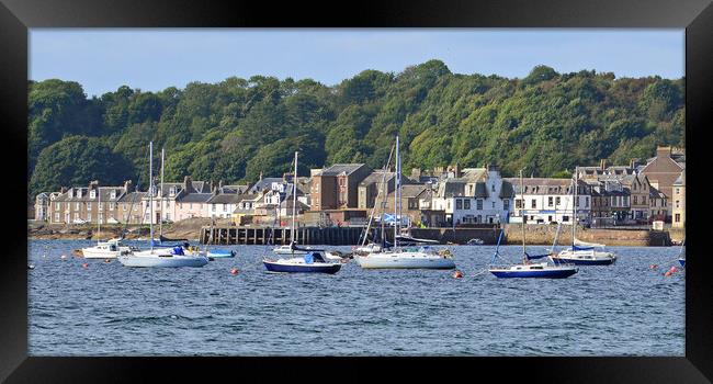 Ahoy there Millport Framed Print by Allan Durward Photography