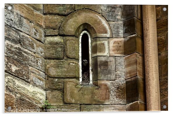 Young Jackdaw In Gothic Window Acrylic by Ste Jones