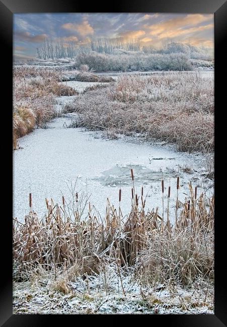 Winter Scene at Rutland Water Framed Print by Martyn Arnold