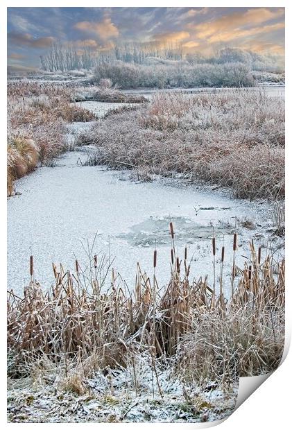 Winter Scene at Rutland Water Print by Martyn Arnold