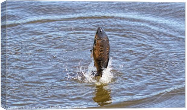 One Carp A Leaping Canvas Print by Ste Jones