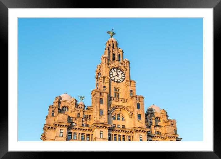 Liver Birds standing proudly Framed Mounted Print by Jason Wells