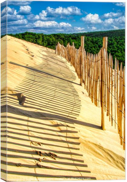 The Mighty Sand Dune of Arcachon Canvas Print by Roger Mechan
