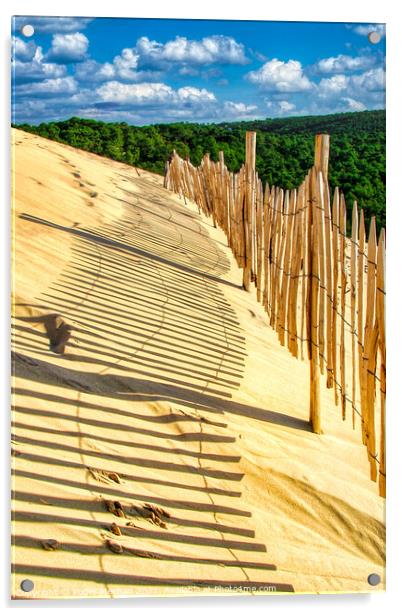 The Mighty Sand Dune of Arcachon Acrylic by Roger Mechan