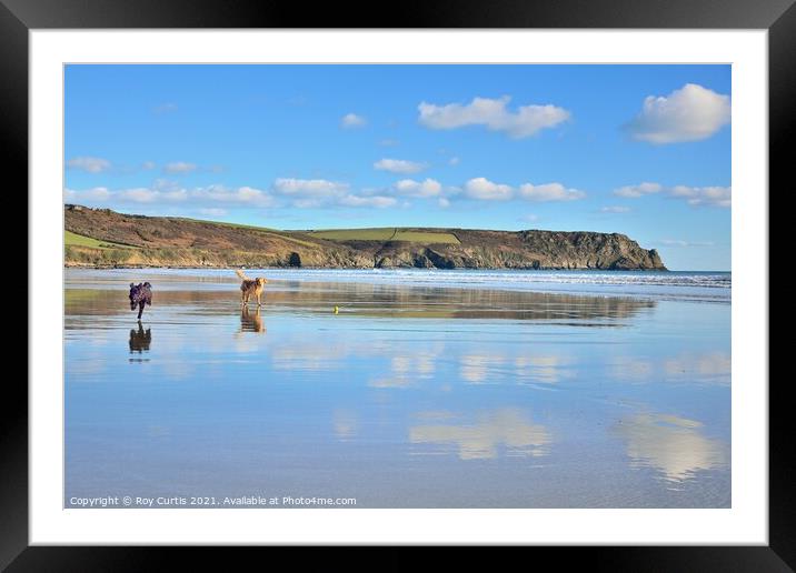 Carne Beach Reflections. Framed Mounted Print by Roy Curtis