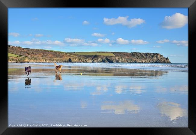 Carne Beach Reflections. Framed Print by Roy Curtis