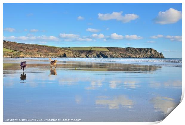 Carne Beach Reflections. Print by Roy Curtis