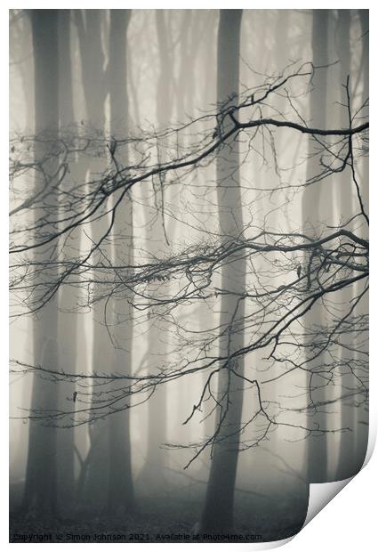 Woodland mist Print by Simon Johnson