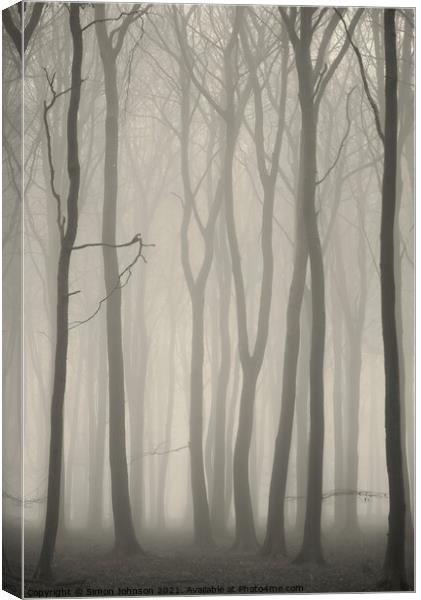 Misty Woodland Canvas Print by Simon Johnson