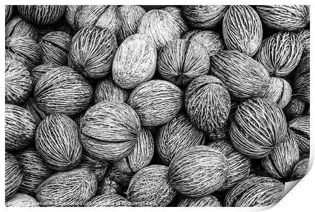 Abstract with palm seeds in black and white Print by Marcin Rogozinski