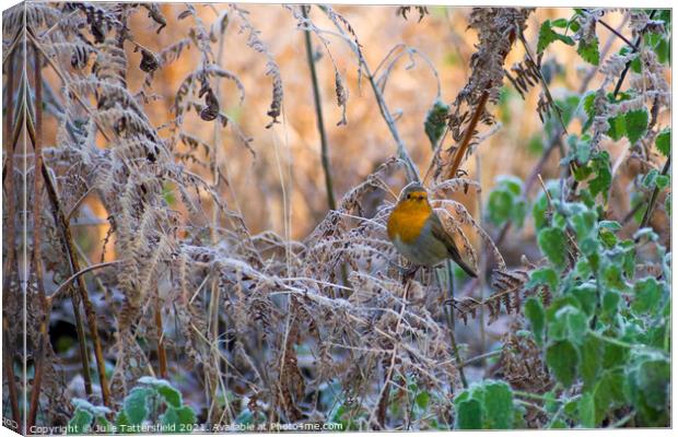 Robin in the frost Canvas Print by Julie Tattersfield