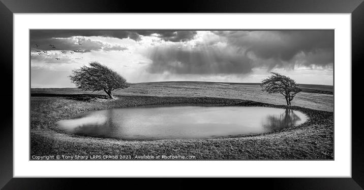 DEWPOND Framed Mounted Print by Tony Sharp LRPS CPAGB