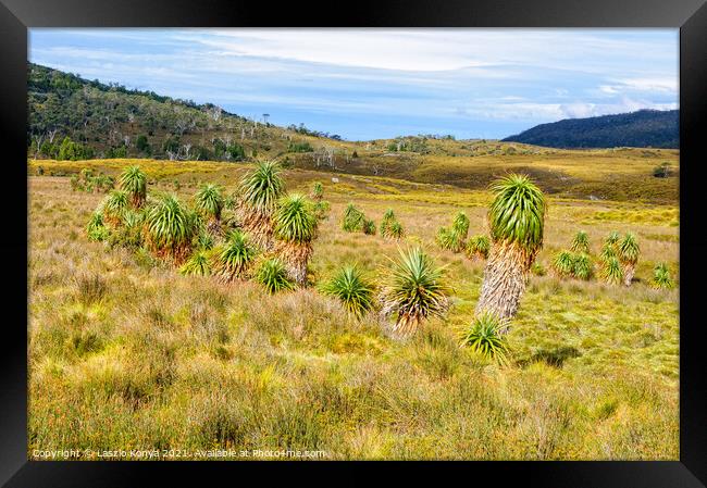 Grassland - Cradle Mountain Framed Print by Laszlo Konya