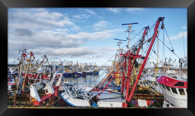 The Fishing Fleet Is In  Framed Print by Peter F Hunt