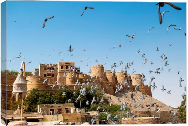 The Ramparts of Jaisalmer Fort, India. Canvas Print by Chris North