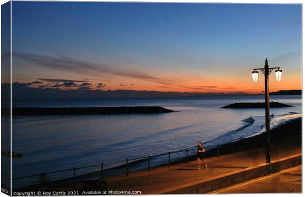 Sidmouth Evening Runner Canvas Print by Roy Curtis