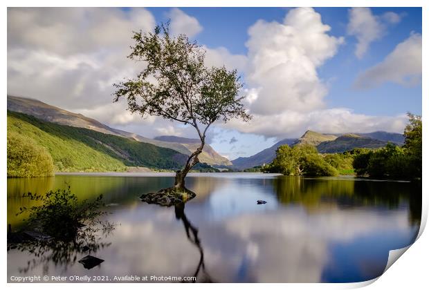 Llyn Padarn, Snowdonia Print by Peter O'Reilly