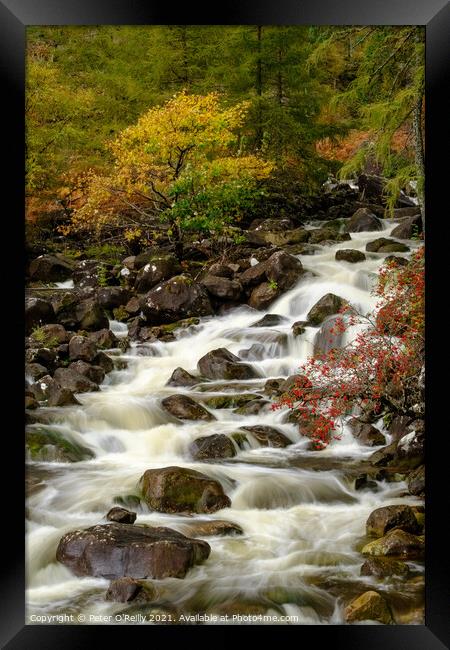 River Rapids Framed Print by Peter O'Reilly