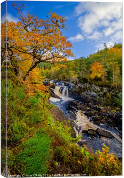 Rogie Falls in Autumn Canvas Print by Peter O'Reilly