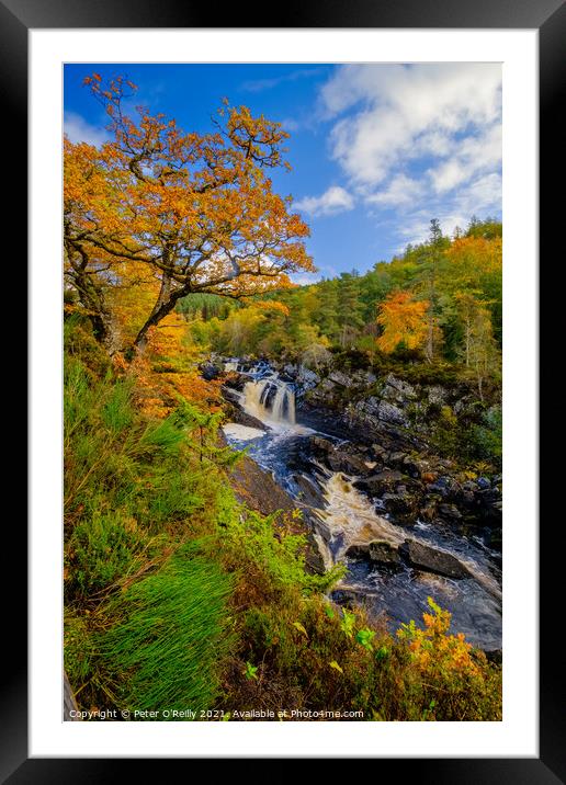 Rogie Falls in Autumn Framed Mounted Print by Peter O'Reilly