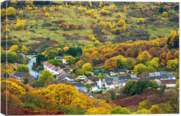 Deep autumn colours around Blaenrhondda  Canvas Print by Nick Jenkins