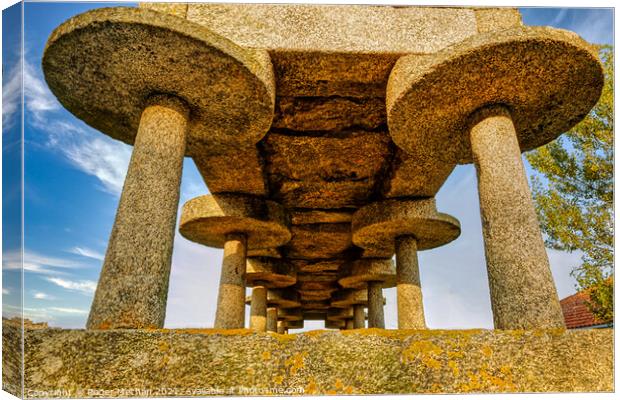 Fungal Granite Support for Spanish Grain Silo Canvas Print by Roger Mechan