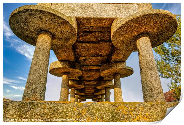 Fungal Granite Support for Spanish Grain Silo Print by Roger Mechan