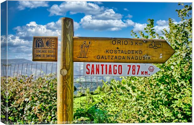 The Sacred Path to Santiago Canvas Print by Roger Mechan