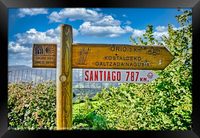 The Sacred Path to Santiago Framed Print by Roger Mechan