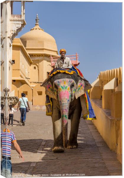 Elephant from the Amber Fort. Canvas Print by Chris North