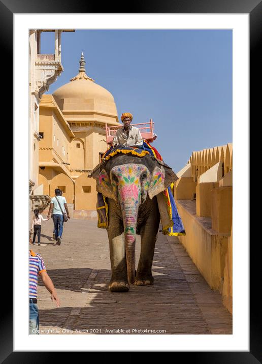 Elephant from the Amber Fort. Framed Mounted Print by Chris North