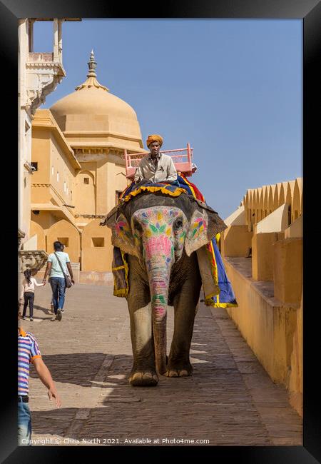 Elephant from the Amber Fort. Framed Print by Chris North