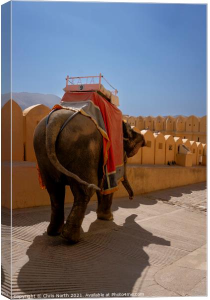 Elephant taxi service. Canvas Print by Chris North