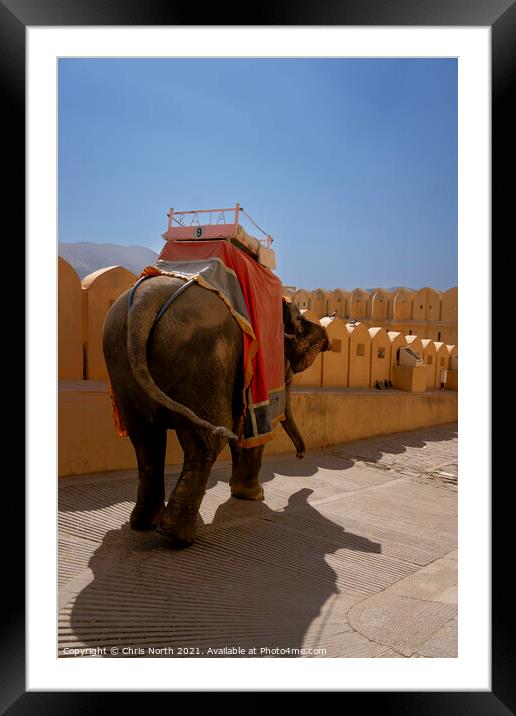 Elephant taxi service. Framed Mounted Print by Chris North