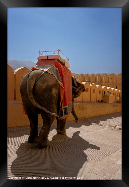 Elephant taxi service. Framed Print by Chris North